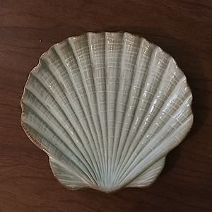 Sea Shell Dish